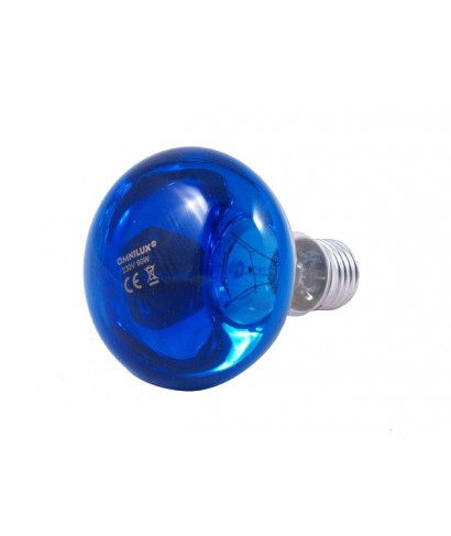 60W blue light bulb
