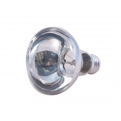 60W Transparent Bulb