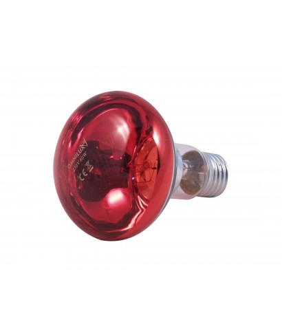 60W red bulb