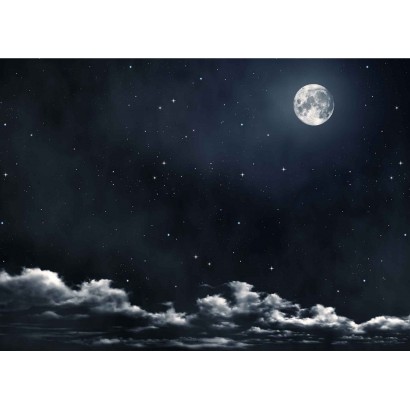 Cielo notturno con luna 100x70