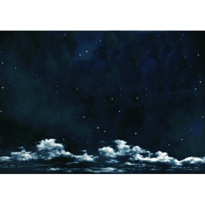 Nachthimmel mit Sternen 100x70
