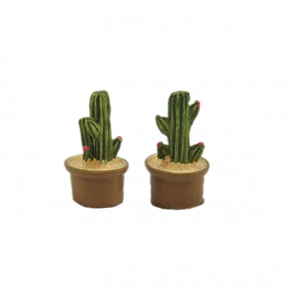 set 2 cactus in case...